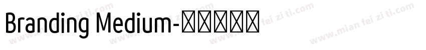 Branding Medium字体转换